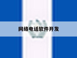 网络电话软件开发