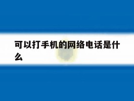 可以打手机的网络电话是什么
