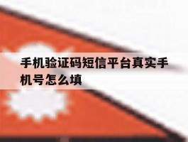 手机验证码短信平台真实手机号怎么填