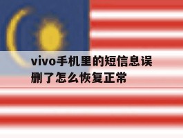 vivo手机里的短信息误删了怎么恢复正常
