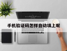手机验证码怎样自动填上呢