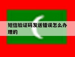 短信验证码发送错误怎么办理的