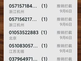 虚拟电话对方能看到么吗