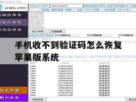 手机收不到验证码怎么恢复苹果版系统