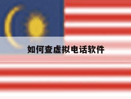 如何查虚拟电话软件