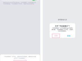 苹果手机打虚拟电话怎么打