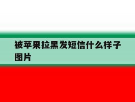 被苹果拉黑发短信什么样子图片