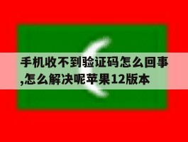 包含手机收不到验证码怎么回事,怎么解决呢苹果12版本的词条