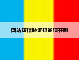 网站短信验证码通道在哪