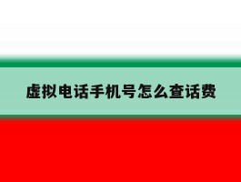 虚拟电话手机号怎么查话费