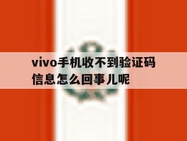 vivo手机收不到验证码信息怎么回事儿呢