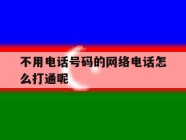 不用电话号码的网络电话怎么打通呢