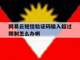 网易云短信验证码输入超过限制怎么办啊的简单介绍