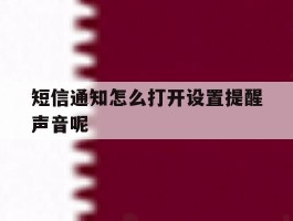 短信通知怎么打开设置提醒声音呢