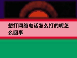 想打网络电话怎么打的呢怎么回事