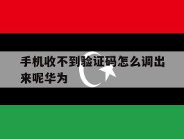 手机收不到验证码怎么调出来呢华为