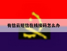 有信云短信在线接码怎么办的简单介绍