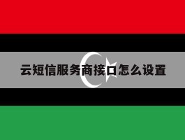 云短信服务商接口怎么设置