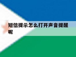 短信提示怎么打开声音提醒呢