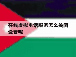 在线虚拟电话服务怎么关闭设置呢