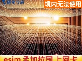虚拟电话卡在哪里申请的呢
