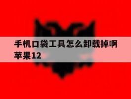 手机口袋工具怎么卸载掉啊苹果12的简单介绍