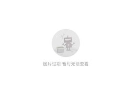 手机口袋在线