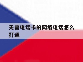 无需电话卡的网络电话怎么打通