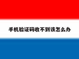 手机验证码收不到该怎么办