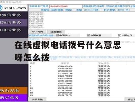 在线虚拟电话拨号什么意思呀怎么拨