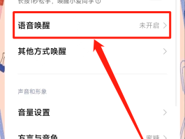 网络电话如何打电话的时候录音呢