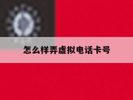 怎么样弄虚拟电话卡号
