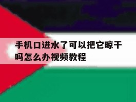 手机口进水了可以把它晾干吗怎么办视频教程