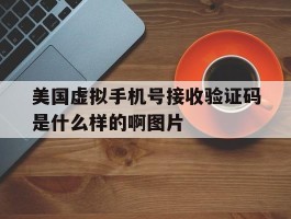 包含美国虚拟手机号接收验证码是什么样的啊图片的词条