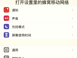 可以打电话的网络电话怎么打不进去