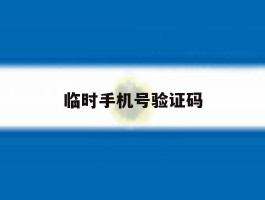 临时手机号验证码