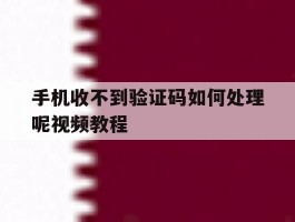 手机收不到验证码如何处理呢视频教程