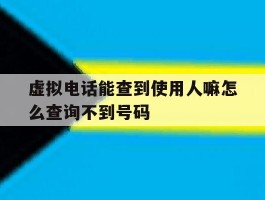 虚拟电话能查到使用人嘛怎么查询不到号码