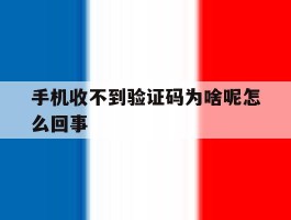 手机收不到验证码为啥呢怎么回事