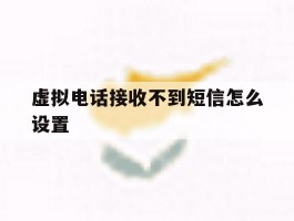 虚拟电话接收不到短信怎么设置