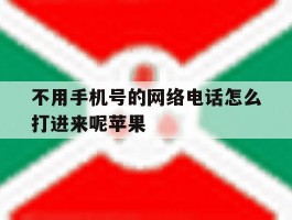 关于不用手机号的网络电话怎么打进来呢苹果的信息