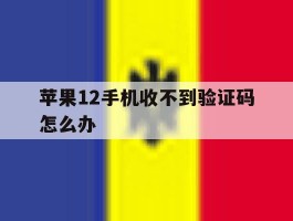 苹果12手机收不到验证码怎么办