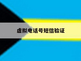 虚拟电话号短信验证