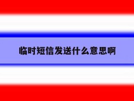 临时短信发送什么意思啊