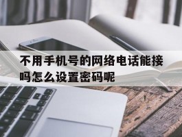 不用手机号的网络电话能接吗怎么设置密码呢