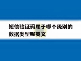 短信验证码属于哪个级别的数据类型呢英文