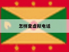 怎样查虚拟电话