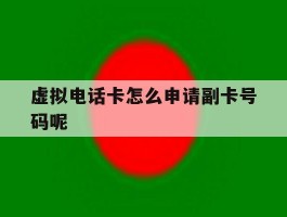 包含虚拟电话卡怎么申请副卡号码呢的词条
