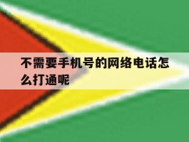 不需要手机号的网络电话怎么打通呢