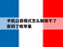 手机口袋模式怎么解除不了密码了呢苹果